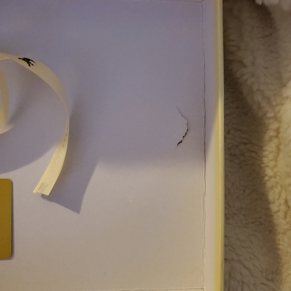 BURBERRY SCARF BOX/RIBBON/CARD - Picture 6 of 6